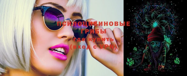 apvp Краснослободск