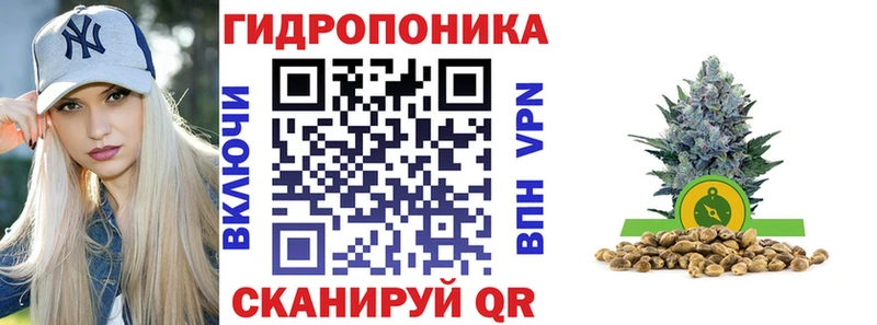 Бошки марихуана Bruce Banner  Купить где  Верхоянск 
